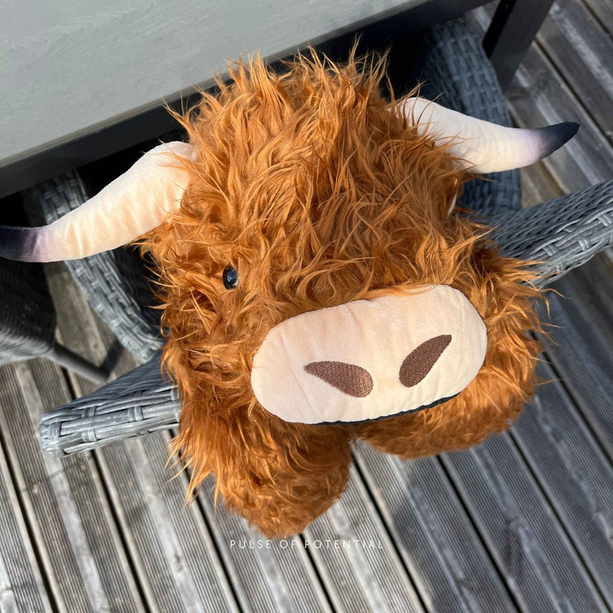 Hallie the Highland Cow Weighted Animal