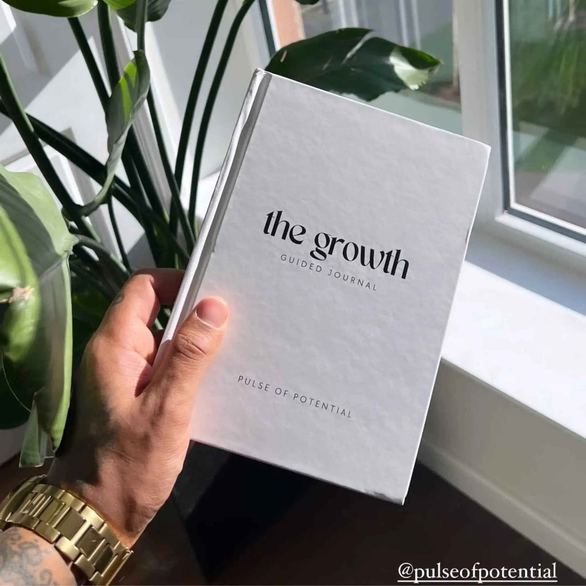 The Men's Growth Guided Journal