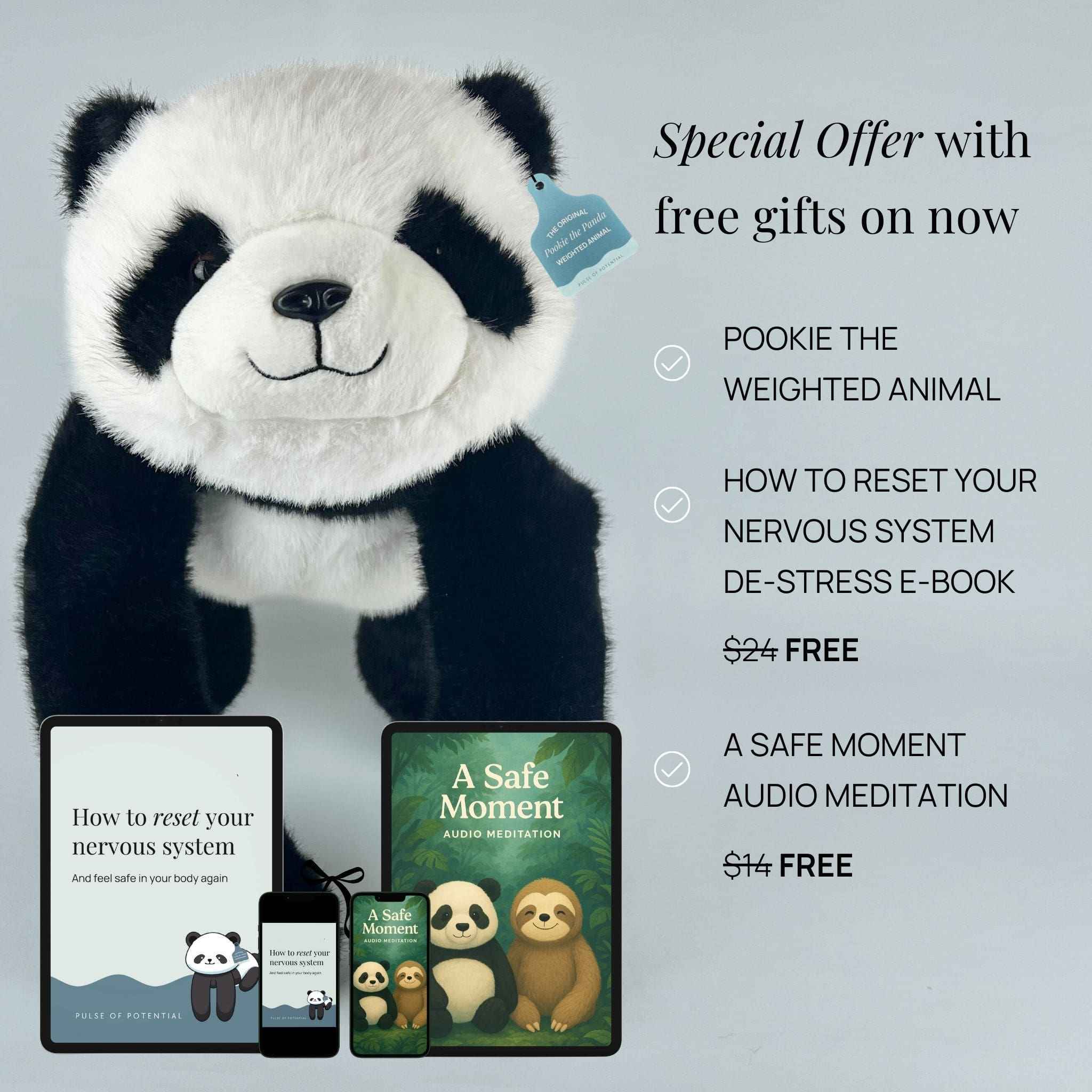 Pookie the Panda Weighted Animal for Valentine's Day