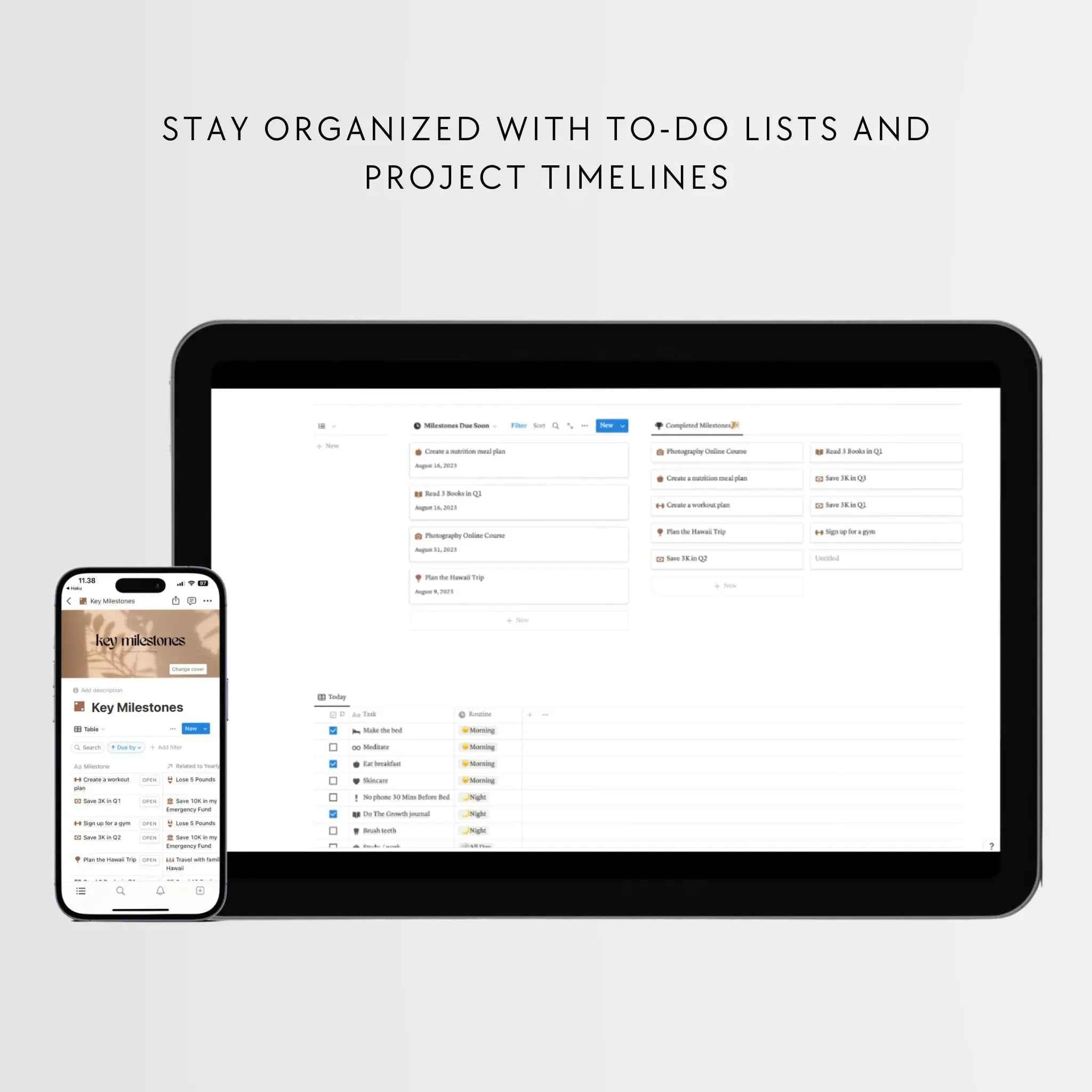 The Goals & Habits Planner