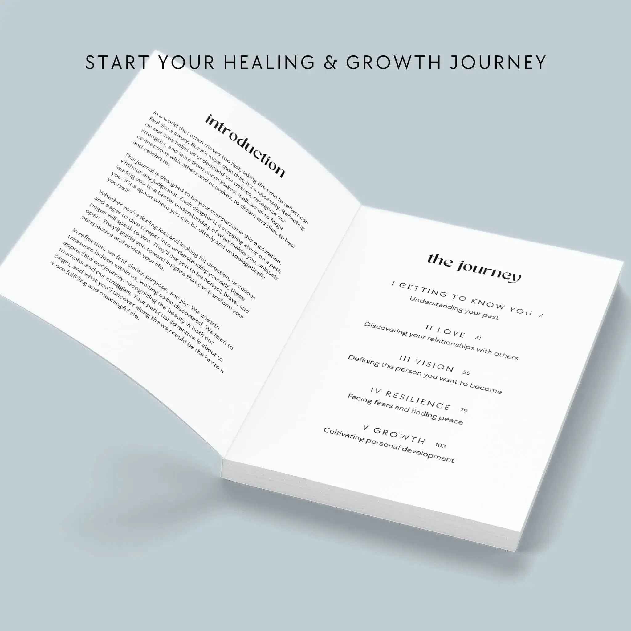 The Growth Guided Journal Softcover