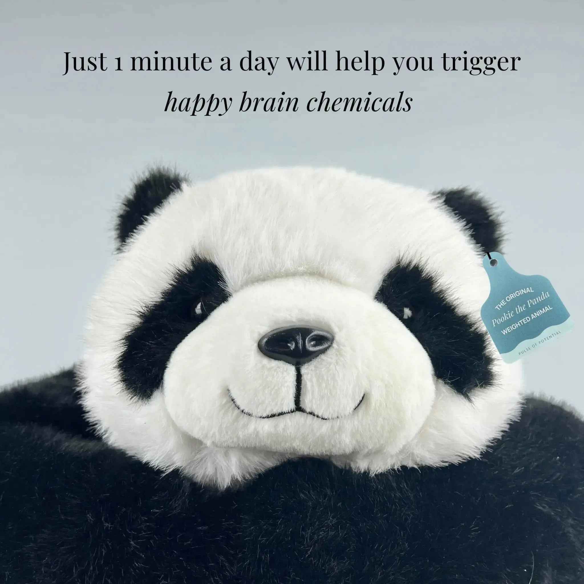 Pookie the Panda Weighted Animal