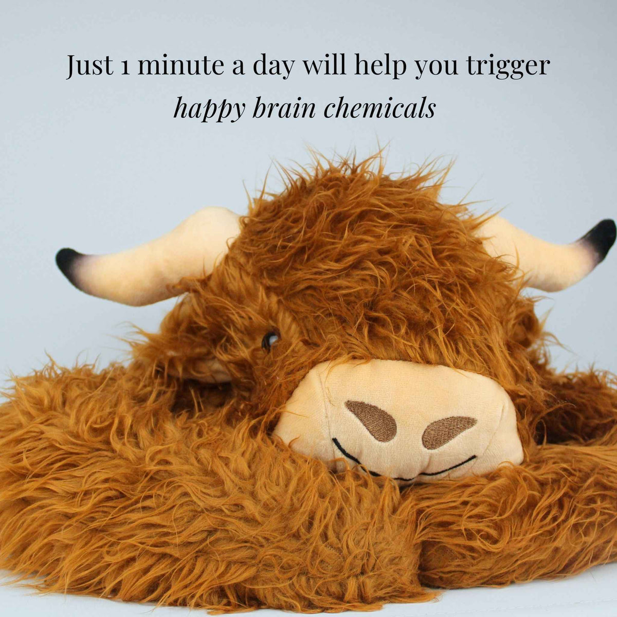Hallie the Highland Cow Weighted Animal