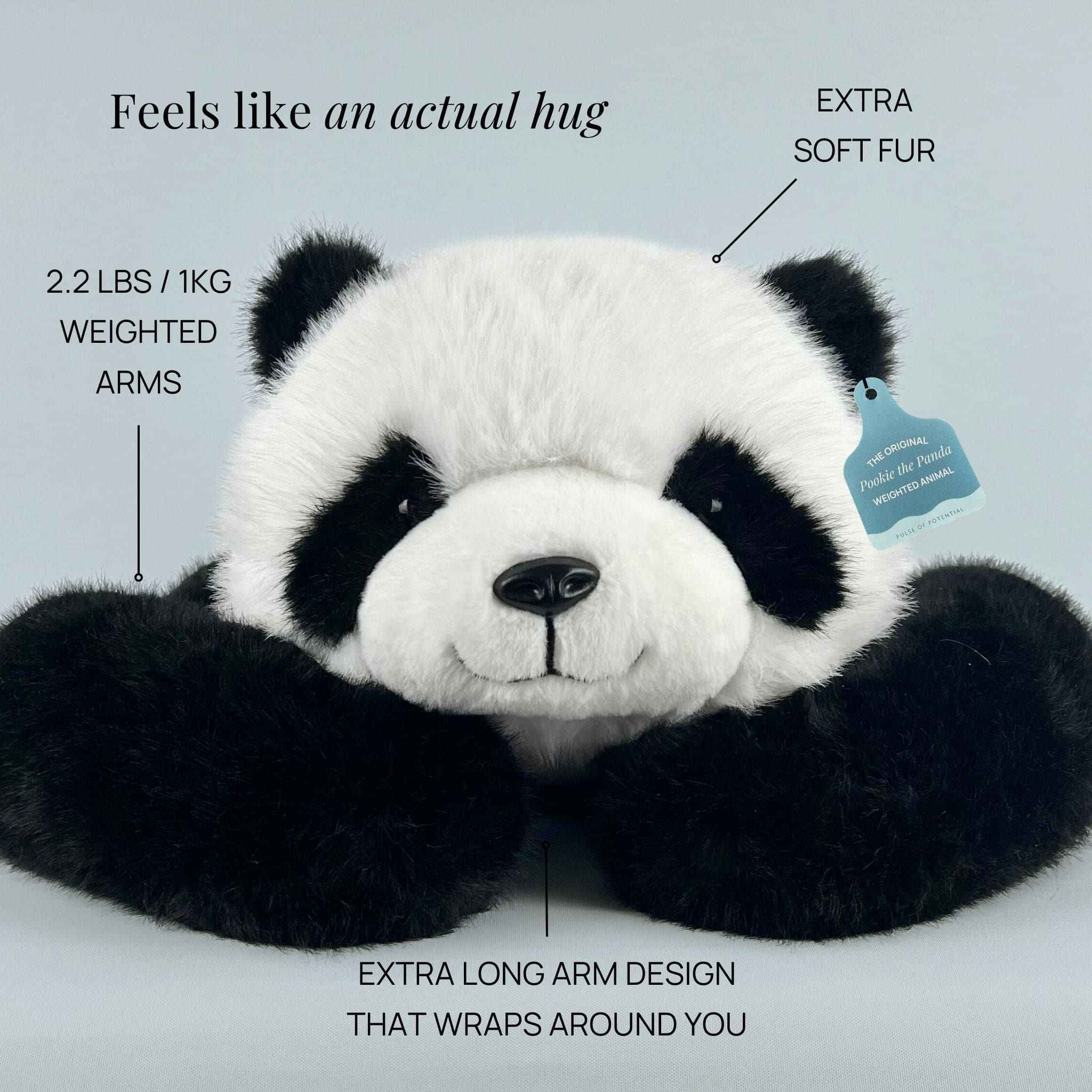 Pookie the Panda Weighted Animal for Valentine's Day