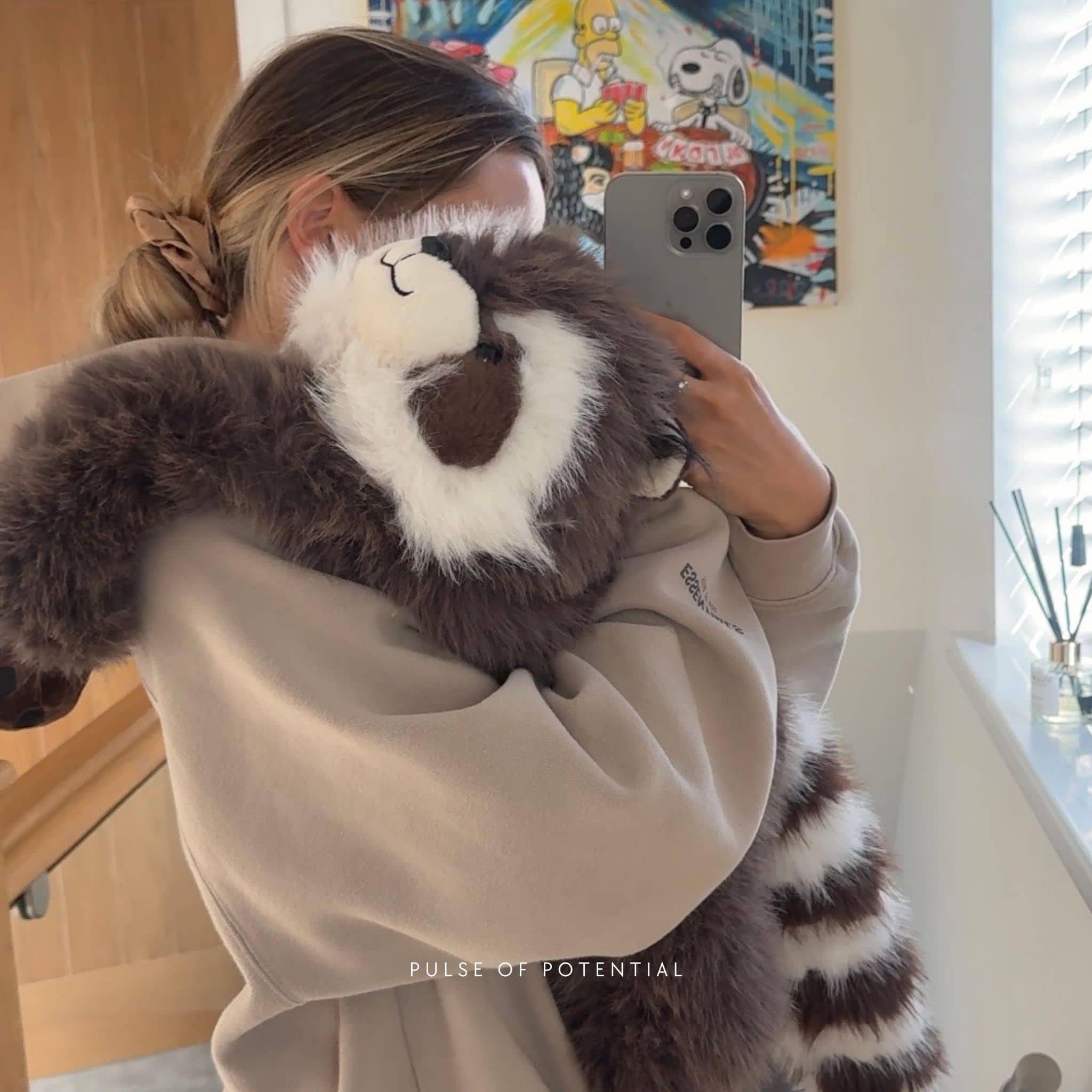 Rockie the Raccoon Weighted Animal