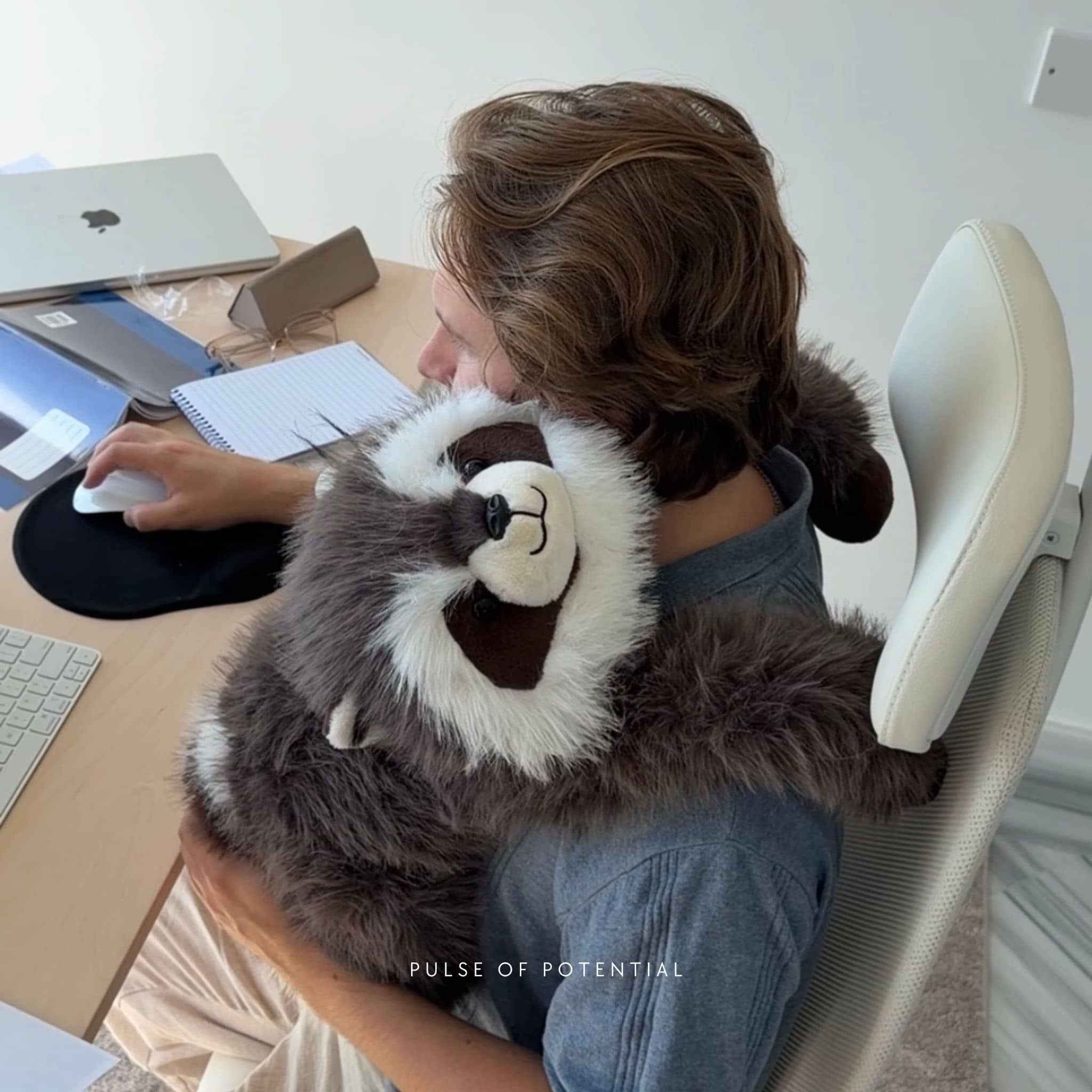 Rockie the Raccoon Weighted Animal