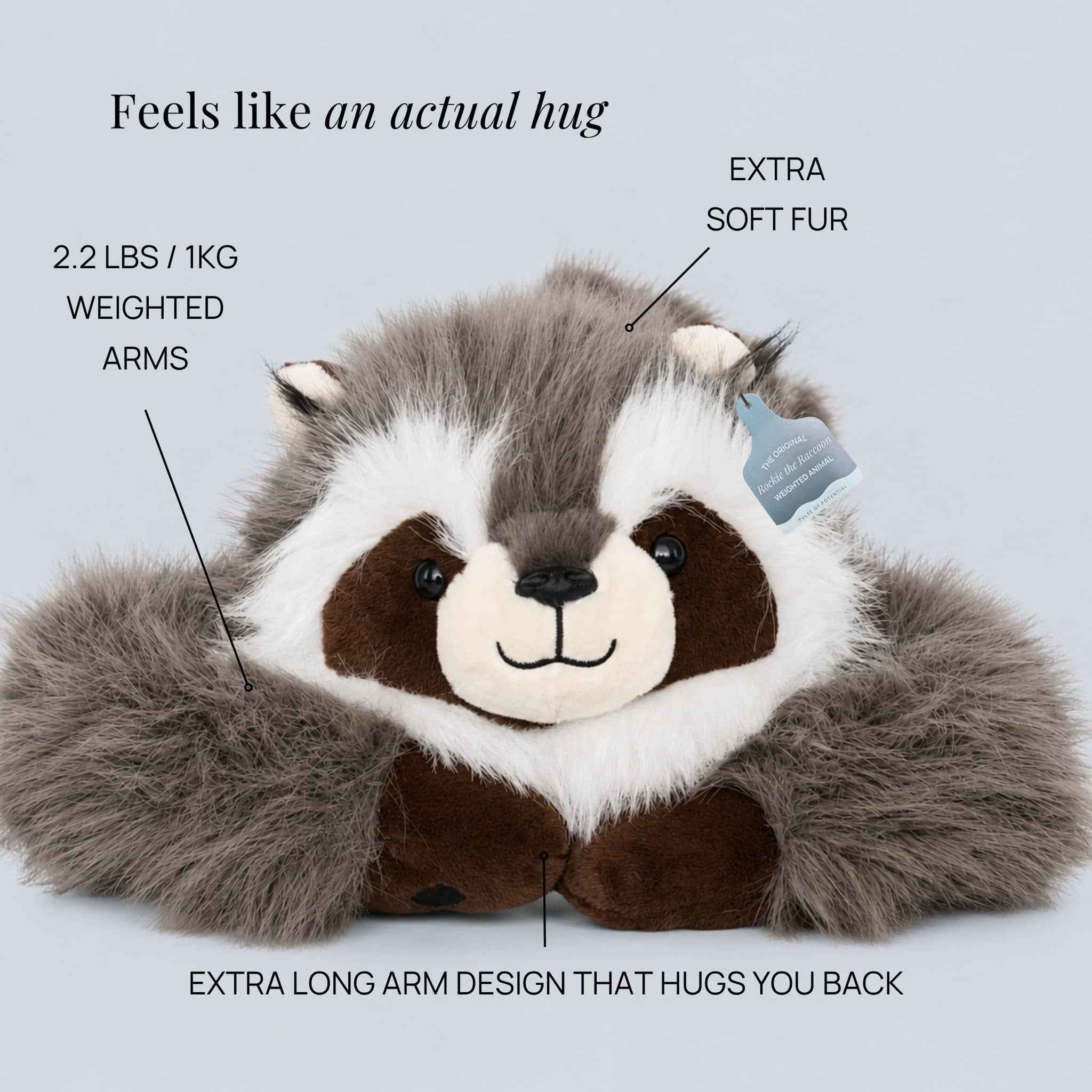 Rockie the Raccoon Weighted Animal